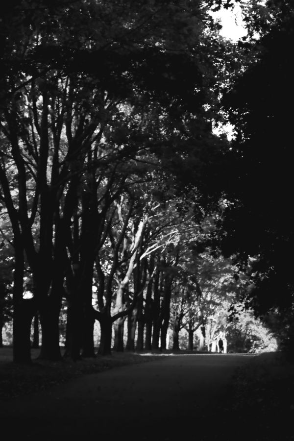 2010 10 21 IMG 12913bw